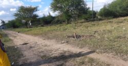 Prime 1 acre Land Near Tamac Road Arthi River