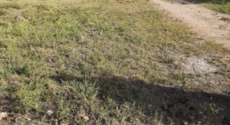 Prime 1 acre Land Near Tamac Road Arthi River