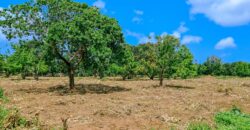 Prime Plots For Sale in Malindi