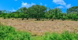 Prime Plots For Sale in Malindi