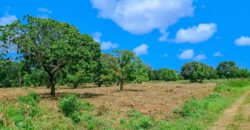 Prime Plots For Sale in Malindi