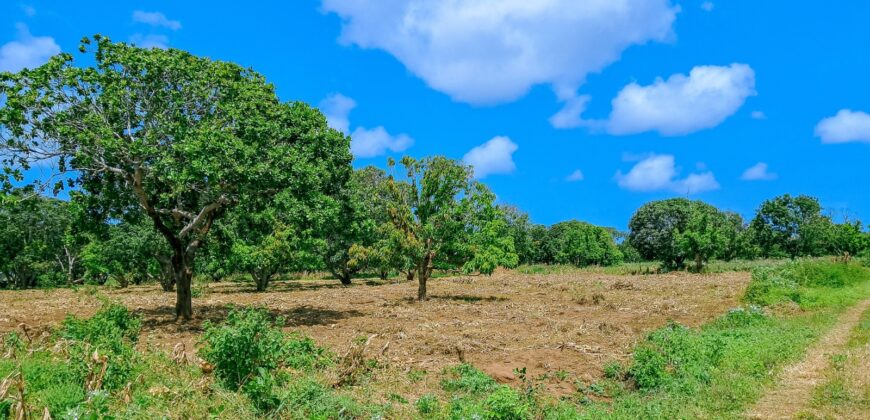 Prime Plots For Sale in Malindi