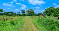 Prime Plots For Sale in Malindi