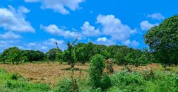 Prime Plots For Sale in Malindi