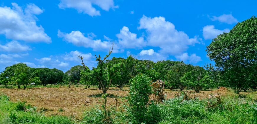 Prime Plots For Sale in Malindi