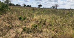 Prime Affordable 1 acre Plots in Malindi