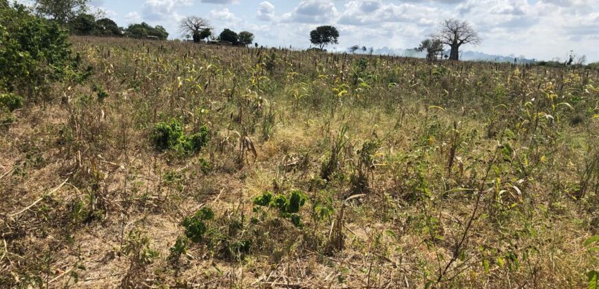 Prime Affordable 1 acre Plots in Malindi