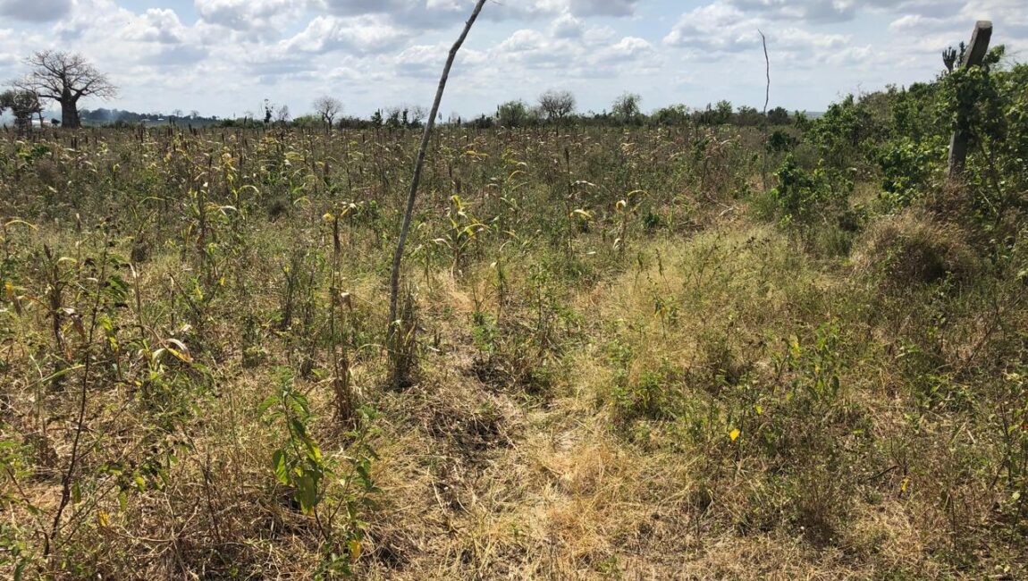 Prime Affordable 1 acre Plots in Malindi