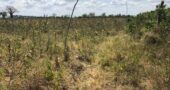 2 Acres All Fenced Prime Land in Mtwapa