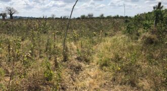 Prime Affordable 1 acre Plots in Malindi Prime Affordable 1 acre Plots in Malindi