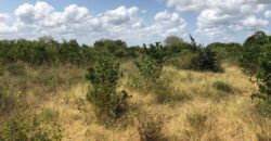 Prime Affordable 1 acre Plots in Malindi