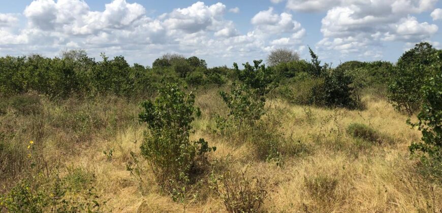 Prime Affordable 1 acre Plots in Malindi