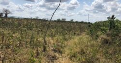 Prime Affordable 1 acre Plots in Malindi