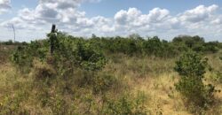 Prime Affordable 1 acre Plots in Malindi