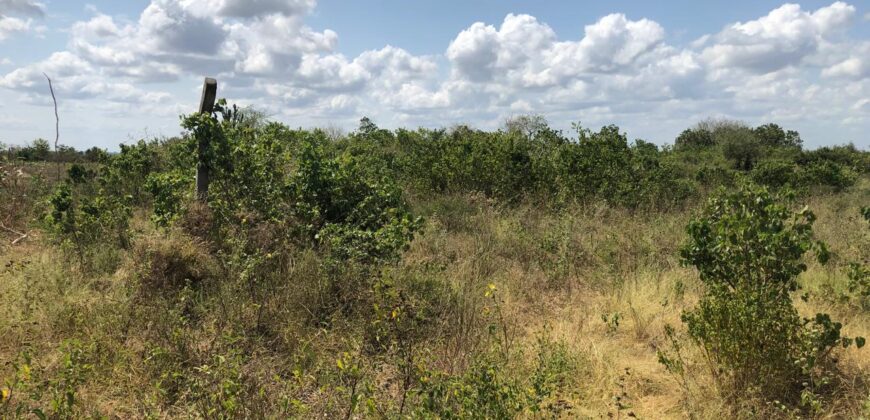 Prime Affordable 1 acre Plots in Malindi