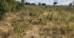 Prime Affordable 1 acre Plots in Malindi