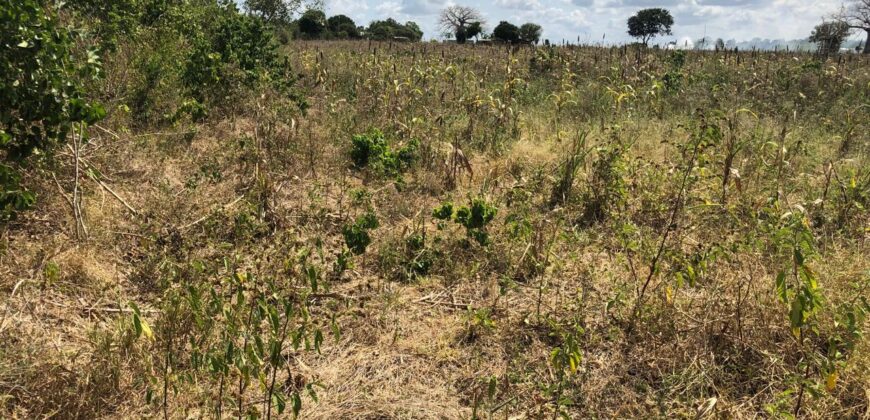 Prime Affordable 1 acre Plots in Malindi