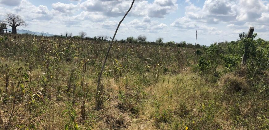 Prime Affordable 1 acre Plots in Malindi