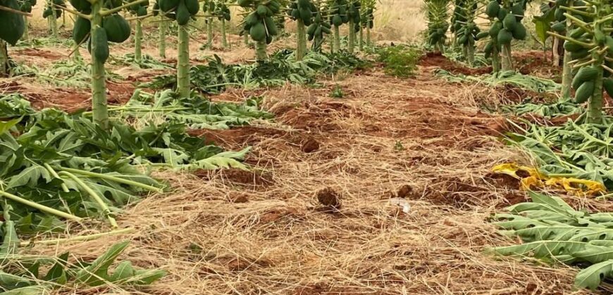 Prime 50 Acres Land For Sale Touching The River Prime 50 Acres Land For Sale Touching The River