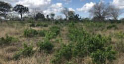Affordable 1 Acre Plots For Sale in Malindi