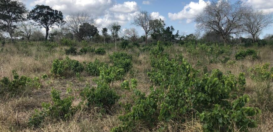 Affordable 1 Acre Plots For Sale in Malindi