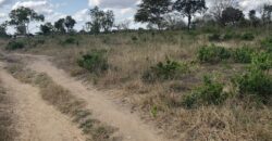 Affordable 1 Acre Plots For Sale in Malindi