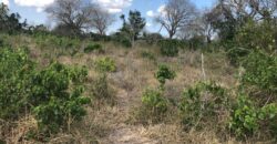 Affordable 1 Acre Plots For Sale in Malindi