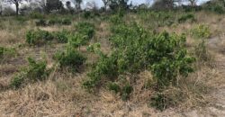 Affordable 1 Acre Plots For Sale in Malindi