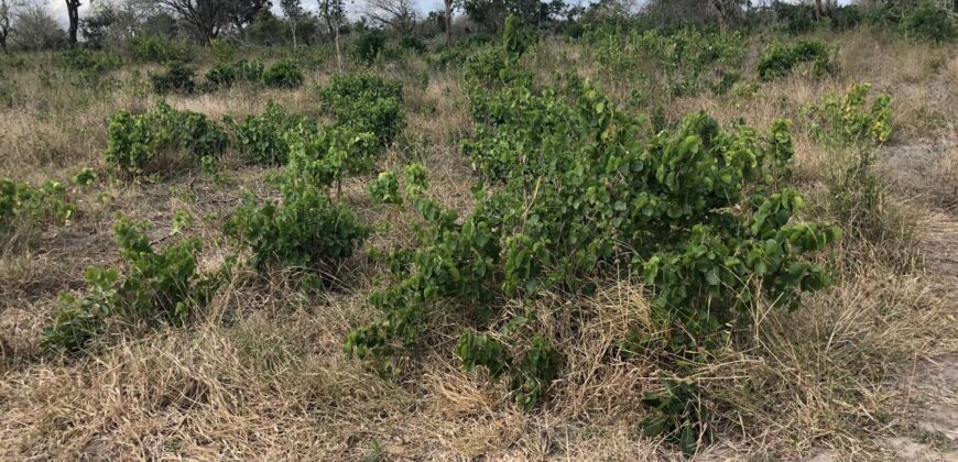 Affordable 1 Acre Plots For Sale in Malindi