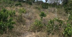 Affordable 1 Acre Plots For Sale in Malindi