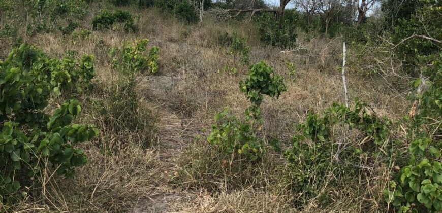 Affordable 1 Acre Plots For Sale in Malindi