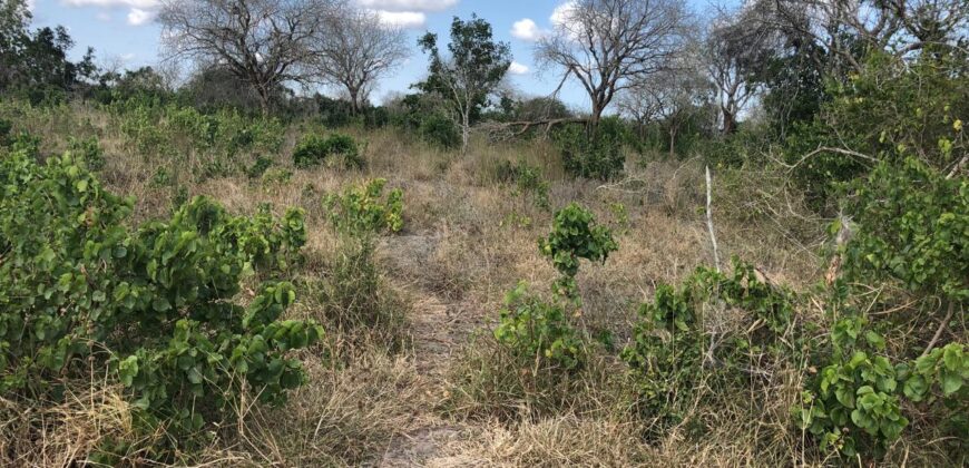Affordable 1 Acre Plots For Sale in Malindi