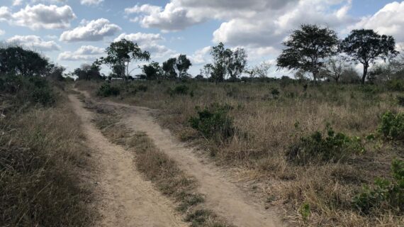 Affordable 1 Acre Plots For Sale in Malindi Affordable 1 Acre Plots For Sale in Malindi