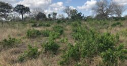 Affordable 1 Acre Plots For Sale in Malindi