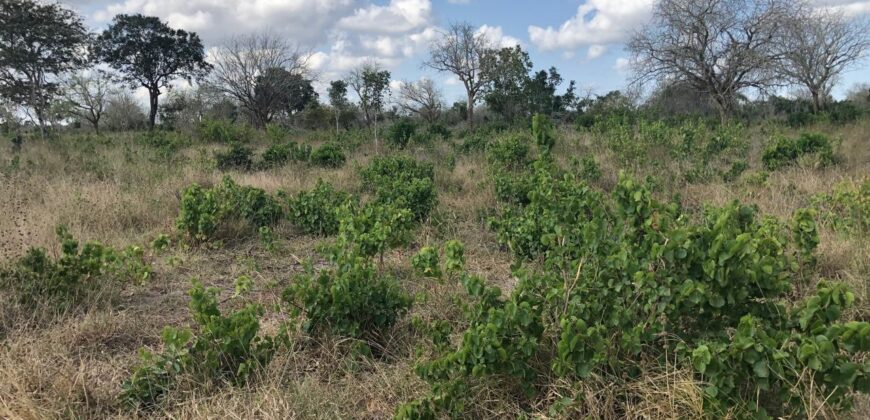 Affordable 1 Acre Plots For Sale in Malindi