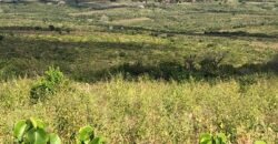 Affordable 1 Acre Agricultural Plots in Malindi Affordable 1 Acre Agricultural Plots in Malindi