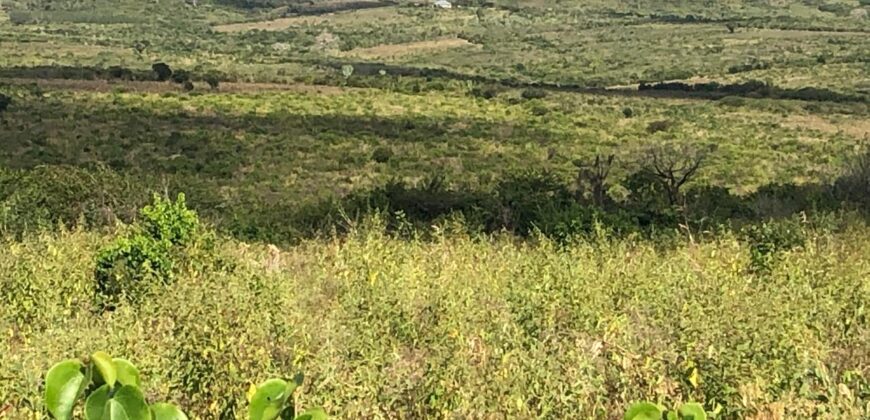 Affordable 1 Acre Agricultural Plots in Malindi Affordable 1 Acre Agricultural Plots in Malindi