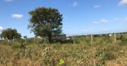 Affordable 1 Acre Agricultural Plots in Malindi Affordable 1 Acre Agricultural Plots in Malindi