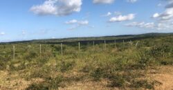 Affordable 1 Acre Agricultural Plots in Malindi Affordable 1 Acre Agricultural Plots in Malindi