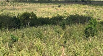 Affordable 1 Acre Agricultural Plots in Malindi Affordable 1 Acre Agricultural Plots in Malindi