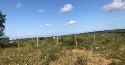Affordable 1 Acre Agricultural Plots in Malindi Affordable 1 Acre Agricultural Plots in Malindi