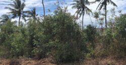 Prime 7.5 Acres For Sale in Watamu Prime 7.5 Acres For Sale in Watamu