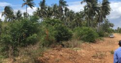 Prime 7.5 Acres For Sale in Watamu Prime 7.5 Acres For Sale in Watamu