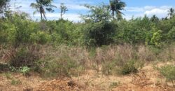 Prime 7.5 Acres For Sale in Watamu Prime 7.5 Acres For Sale in Watamu