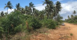 Prime 7.5 Acres For Sale in Watamu Prime 7.5 Acres For Sale in Watamu