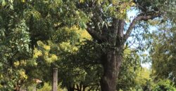 Prime 7.5 Acres For Sale in Watamu Prime 7.5 Acres For Sale in Watamu