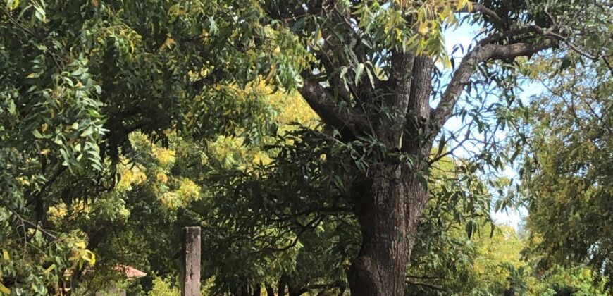 Prime 7.5 Acres For Sale in Watamu Prime 7.5 Acres For Sale in Watamu