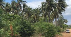 Prime 7.5 Acres For Sale in Watamu Prime 7.5 Acres For Sale in Watamu