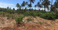 Prime 7.5 Acres For Sale in Watamu Prime 7.5 Acres For Sale in Watamu