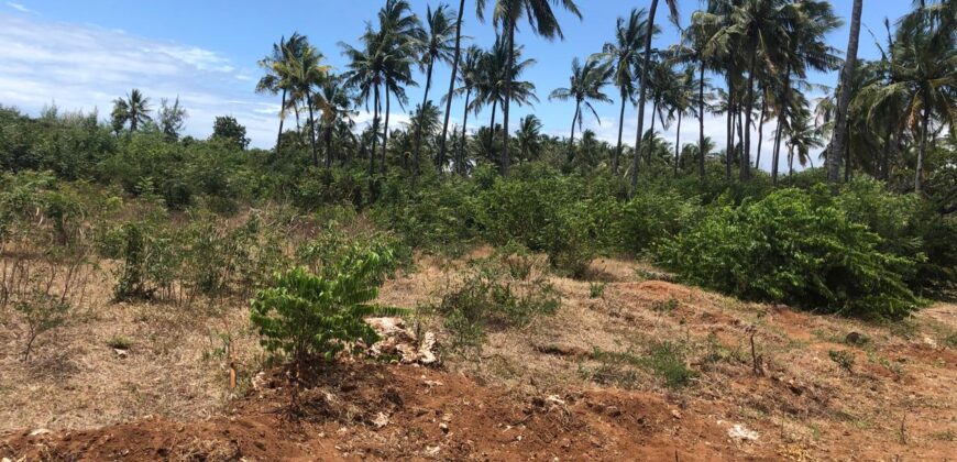 Prime 7.5 Acres For Sale in Watamu Prime 7.5 Acres For Sale in Watamu